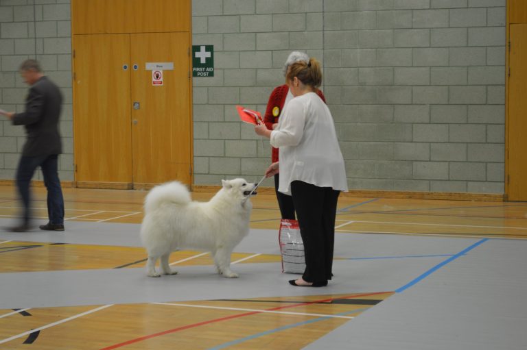 2016 November Championship Show