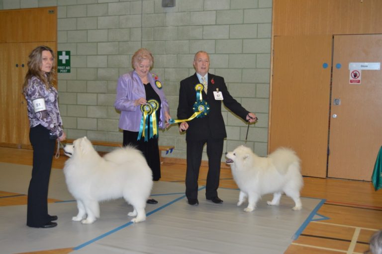 2015 November Championship Show