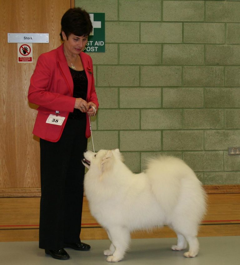 2014 November Championship Show