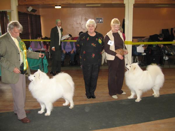 2006 January Open Show