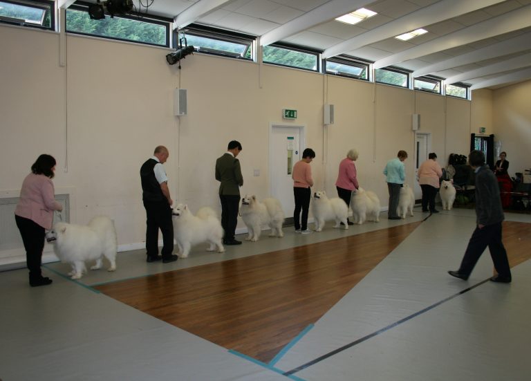 2019 Open Show – Ampthill,Beds
