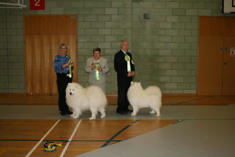 2019 Championship Show -Lutterworth